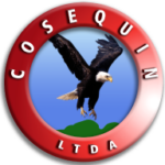 logo-consequi-web-1